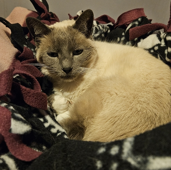 Meet Your Posher, Karina! - Picture 2 of 2